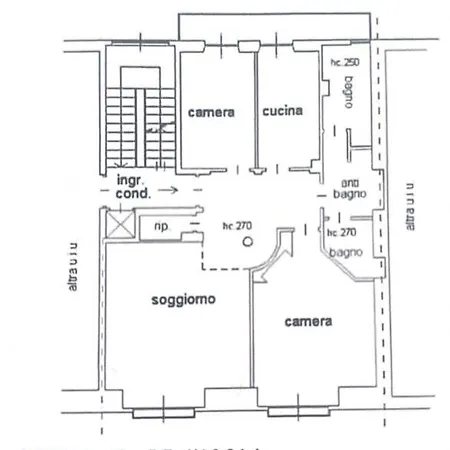 Damiki Luminoso, Turin