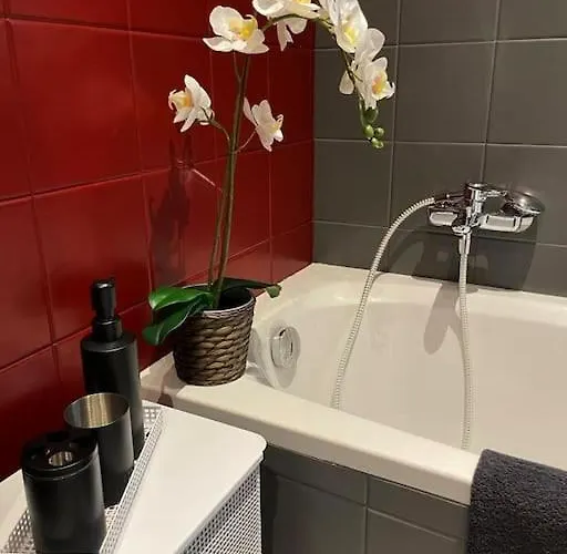 Damiki Luminoso, Apartament *